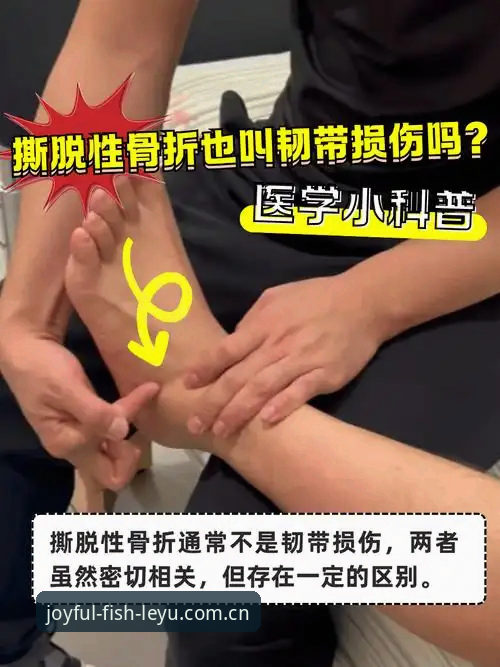 从这里认识我们APP新版下载 伤病数据解读教程:施洛特贝克韧带撕裂事件中的信息筛选核心课